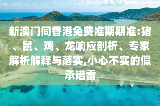 新澳門同香港免費準期期準:豬、鼠、雞、龍響應剖析、專家解析解釋與落實,小心不實的假承諾雷